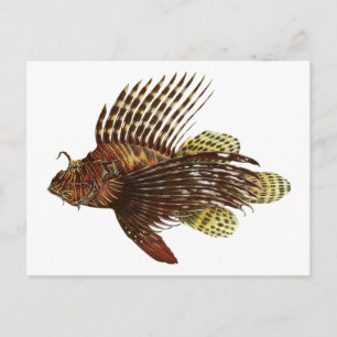 Red Lionfish  Print Briefkaart