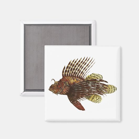 Red Lionfish  print Magneet (Voorkant / Achterkant)