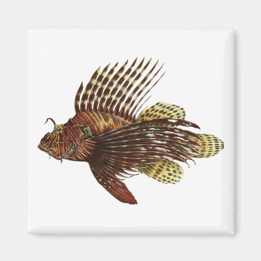 Red Lionfish print Magneet (Voorkant)