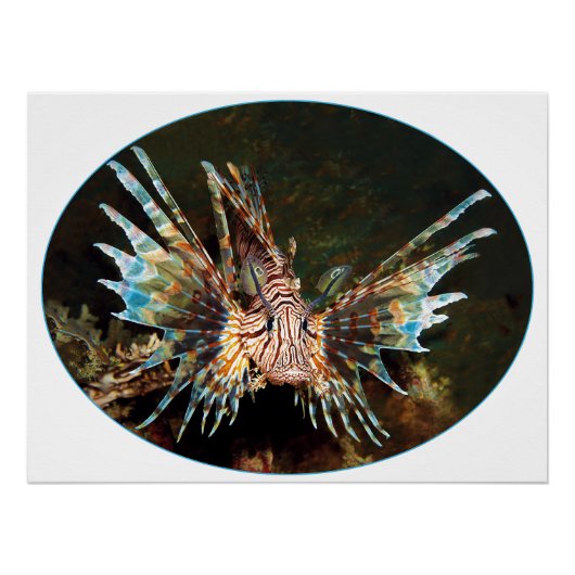 Red Lionfish, Raja Ampat - Fotografisch ontwerp | Perfect Poster (Voorkant)