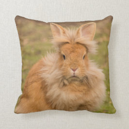 Red Lionhead Pet Bunny Rabbit Sierkussen