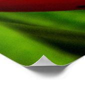 Red Lobster Claw Heliconia, Kauai, Hawaii Poster (Hoek)