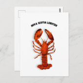 Red Lobster Postcard Briefkaart (Voorkant / Achterkant)