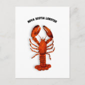 Red Lobster Postcard Briefkaart (Voorkant)
