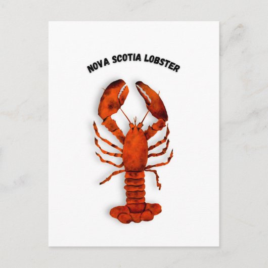 Red Lobster Postcard Briefkaart (Voorkant)