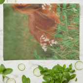 Red Long Haire Dachshund Dog Kitchen Towel Theedoek (Gevouwen)