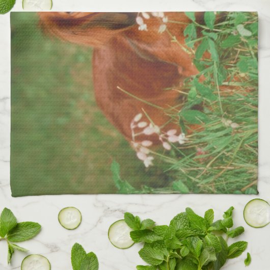Red Long Haire Dachshund Dog Kitchen Towel Theedoek (Gevouwen)