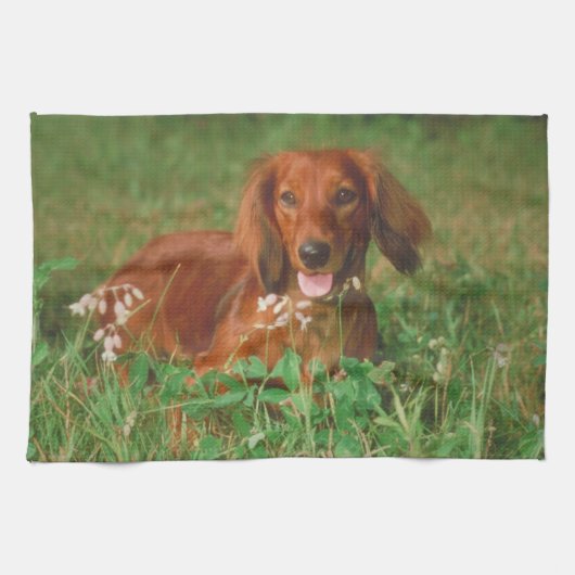 Red Long Haire Dachshund Dog Kitchen Towel Theedoek (Horizontaal)