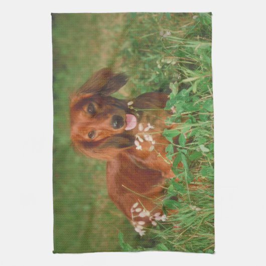Red Long Haire Dachshund Dog Kitchen Towel Theedoek (Verticaal)