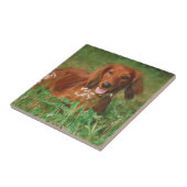 Red Long Haire Dachshund Tile Tegeltje (Zijkant)