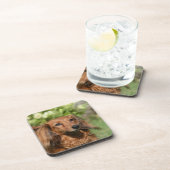 Red Long-haring Miniature Dachshund Bier Onderzetter (Rechterzijde)