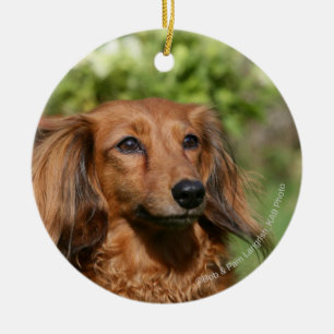 Red Long-haring Miniature Dachshund Keramisch Ornament