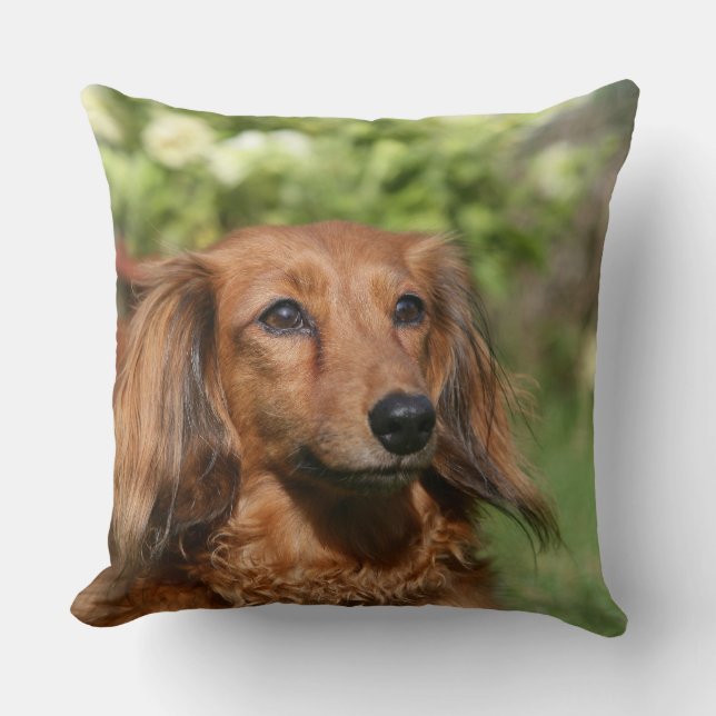 Red Long-haring Miniature Dachshund Kussen (Voorkant)