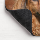 Red Long-haring Miniature Dachshund Muismat (Hoek)