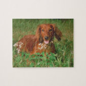 Red Long Hazard Dachshund Dog Puzzle Legpuzzel (Horizontaal)