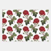 Red Long Stem Roos Patroon Inpakpapier Vel (Voorkant 3)