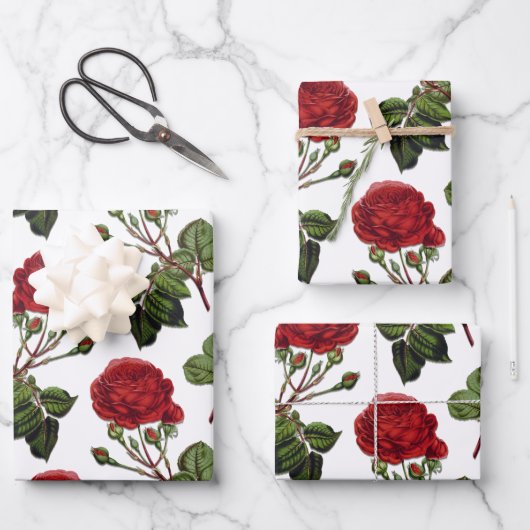 Red Long Stem Roos Patroon Inpakpapier Vel (Voorkant)