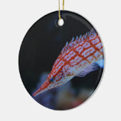 Red Longnose Hawkfish Keramisch Ornament (Links)