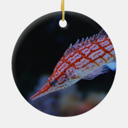 Red Longnose Hawkfish Keramisch Ornament (Achterkant)