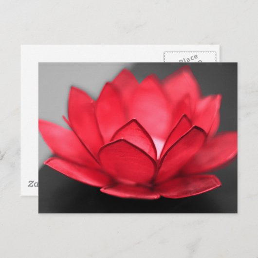 Red Lotus Briefkaart (Voorkant / Achterkant)