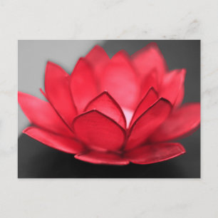 Red Lotus Briefkaart