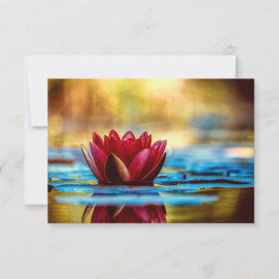 Red Lotus Water Lily Flower Bedankkaart