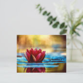 Red Lotus Water Lily Flower Briefkaart (Staand voorkant)