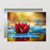 Red Lotus Water Lily Flower Briefkaart (Voorkant / Achterkant)
