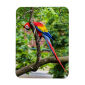 Red Macaw Flexible Magnet Magneet (Verticaal)
