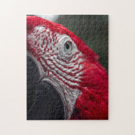 Red Macaw - HD Photo Puzzle Legpuzzel