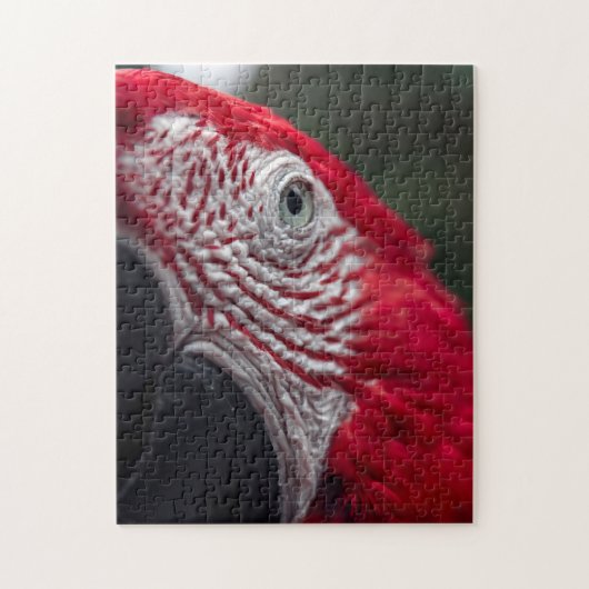 Red Macaw - HD Photo Puzzle Legpuzzel (Verticaal)