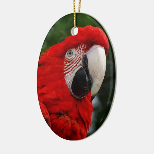 Red Macaw Keramisch Ornament (Links)