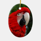 Red Macaw Keramisch Ornament (Voorkant)
