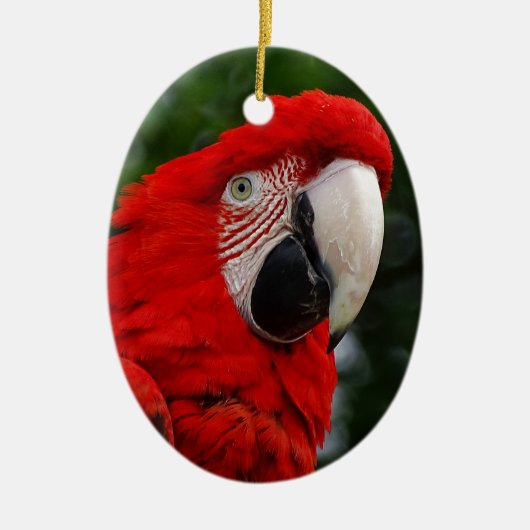 Red Macaw Keramisch Ornament (Voorkant)