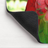 Red Macaw Mousepad 2 Muismat (Hoek)