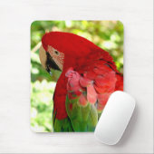 Red Macaw Mousepad 2 Muismat (Met muis)