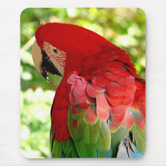 Red Macaw Mousepad 2 Muismat (Voorkant)