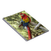 Red Macaw Parrot Bird Tropisch Notitieboek (Rechterzijde)