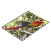 Red Macaw Parrot Bird Tropisch Notitieboek (Linkerzijde)