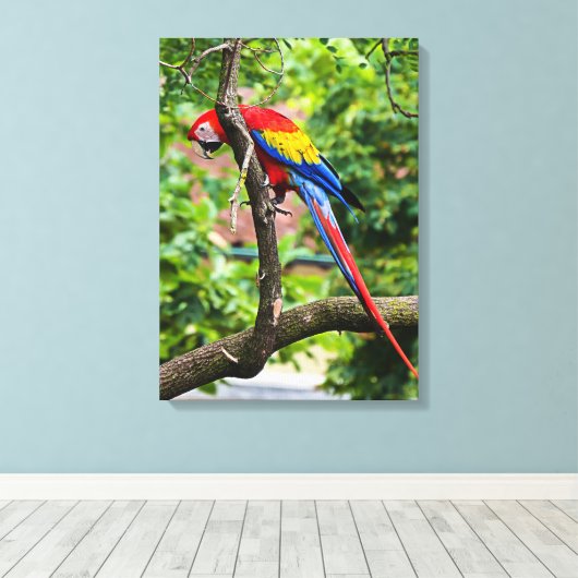 Red Macaw Wall Canvas Art Afdruk (Insitu (Houten vloer))