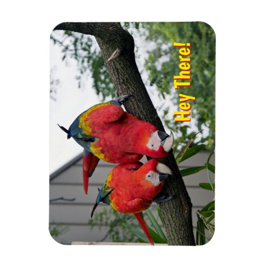 Red Macaws Magnet Magneet (Verticaal)