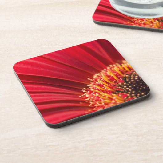 Red Macro Gerbera Daisy Flower Onderzetter (Linkerzijde)