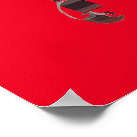 Red Maine Lobsters Thunder_Cove Poster (Hoek)