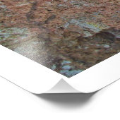 "Red Manzanita onder Massive Red-hued Rocks" Foto Afdruk (Hoek)