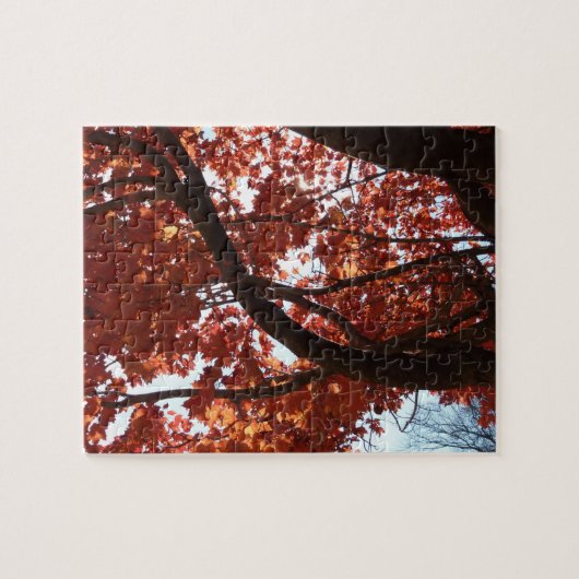 Red Maple Branches Autumn Colors Legpuzzel (Horizontaal)