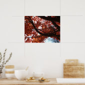 Red Maple Branches Autumn Colors Poster (Keuken)