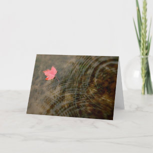Red Maple Floating Kaart