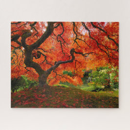 Red Maple in het najaar in Portland Japanse tuin Legpuzzel