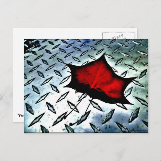 "Red Maple" JTG Art Briefkaart (Voorkant / Achterkant)