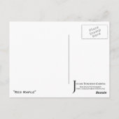 "Red Maple" JTG Art Briefkaart (Achterkant)